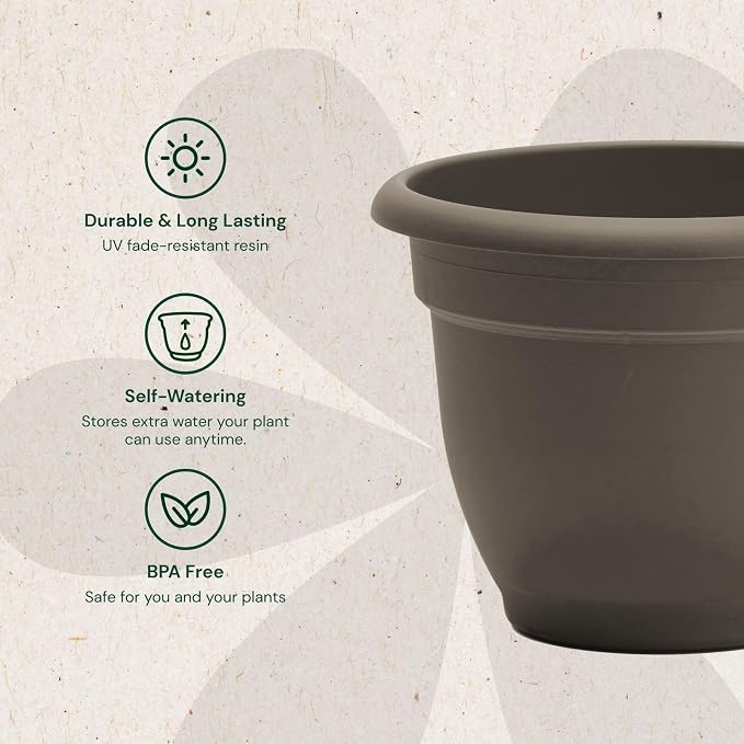 Bloem Ariana 10" Plastic Self-Watering Planter, Peppercorn, 2-Pack | Self-watering disk at the bottom of each pot that acts as a water wick and reservoir for optimal plant health