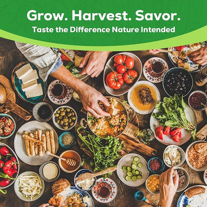 30 Vegetable Seeds Variety Pack - 17,200+ Heirloom Vegetable Seeds for Planting, Non-GMO Seed Packets with Tomato, Lettuce, Pepper, Cucumber for Indoor, Outdoor, Greenhouse & Hydroponic Gardening