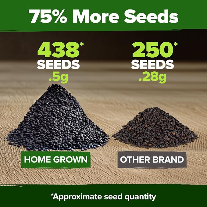 HOME GROWN Thai Basil Seeds Pack - 438 High Germination Heirloom Herb Seeds for Planting,Ideal for Growing Fresh Basil Planting Indoor or Outdoor(Ocimum basilicum VAR.thyrsiflora)
