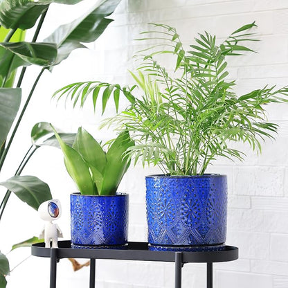 8 Inch + 6 Inch Indoor Plant Pot with Drainage Holes and Saucers, Ceramic Planter for Plants Succulent Orchid Flower Pots