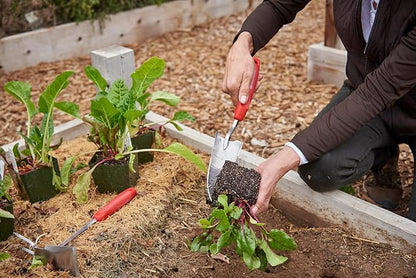 Corona Stainless Steel ComfortGEL Transplanter, red