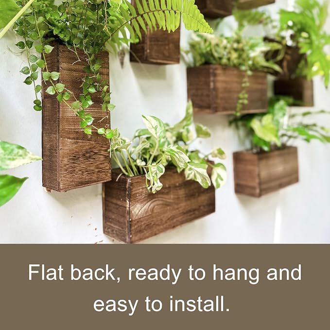 LaLaGreen Wooden Wall Planters (4 Pack) Hanging Wood Planter Box for Plants | Indoor Boxes Plant Holder Vase for Dried Flowers, Modern Table Centerpiece Living Room Bedroom Kitchen Home Office Decor