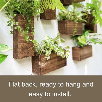 LaLaGreen Wooden Wall Planters (4 Pack) Hanging Wood Planter Box for Plants | Indoor Boxes Plant Holder Vase for Dried Flowers, Modern Table Centerpiece Living Room Bedroom Kitchen Home Office Decor