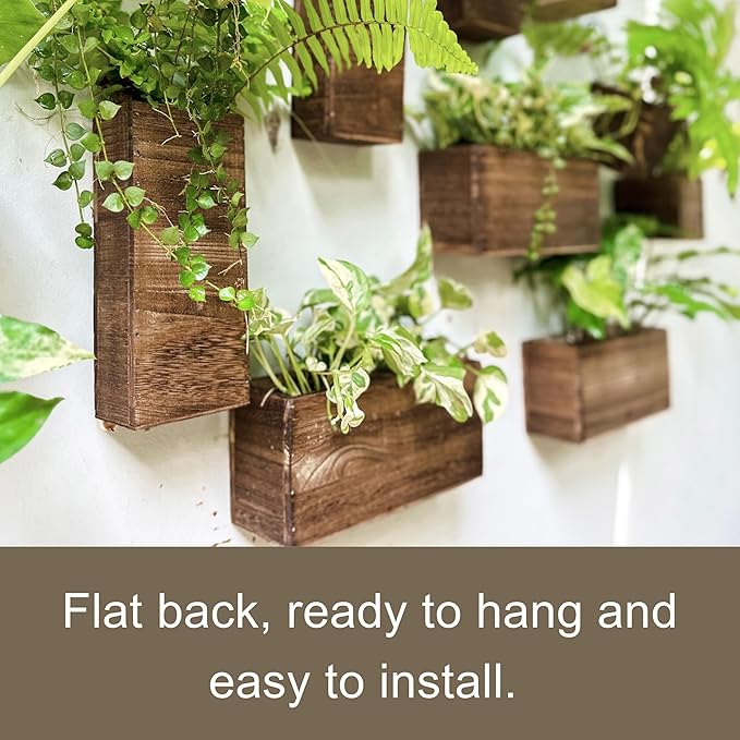 LaLaGreen Wood Planter Box for Plants (6 Pack) Wall Planters for Indoor | Wooden Box Indoor Plant Holder Vase for Dried Flowers, Modern Farmhouse Decor Living Room Bedroom Kitchen Office Home Garden