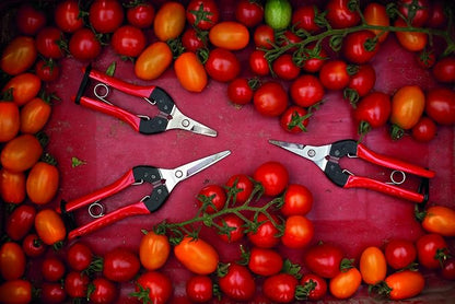 Felco F320 Pruning Snips – 6" Garden Clippers with Curved Blade & Rounded Tip | Pruning Shears for Gardening | Garden Snips and Pruners with Carbon Steel Blade, Sap Groove