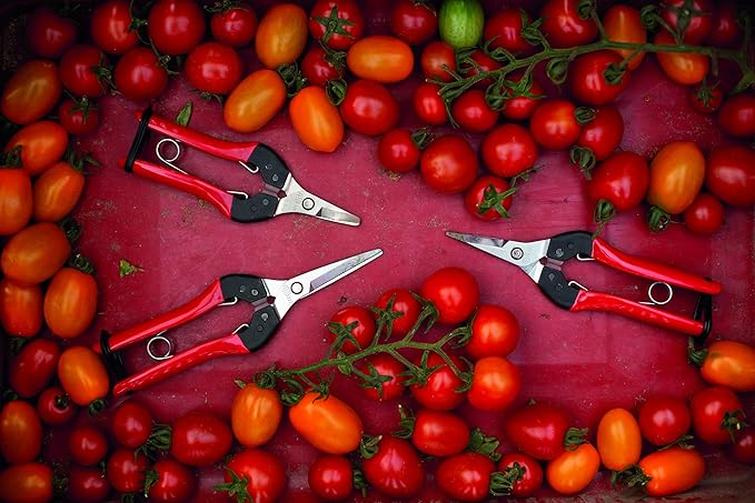 Felco Pruning Shears (F 7) & FELCO322 Snips - Swiss Made Garden Pruners & Picking Shears Bundle