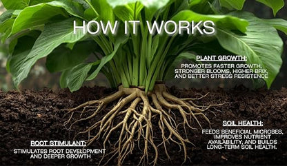 Eco-Blast™ Instant Compost Tea – 2oz Bag. Soil Microbes with Plant Probiotics, Mycorrhizae, Kelp, Yucca, Humic, Amino & Fulvic Acids.
