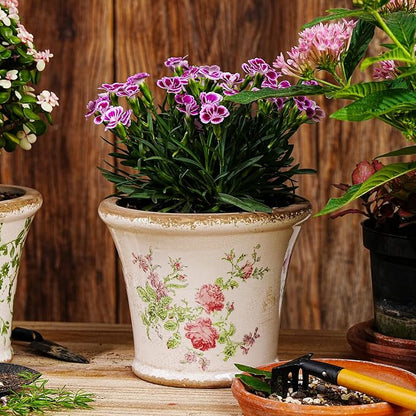 Sungmor Set of 2 Vintage Ceramic Flower Pots with Drainage Hole - Rustic Farmhouse Planters with Crackle Glaze & Floral Prints - Indoor Outdoor Decorative Plant Pots for Succulents, Herbs, Flowers
