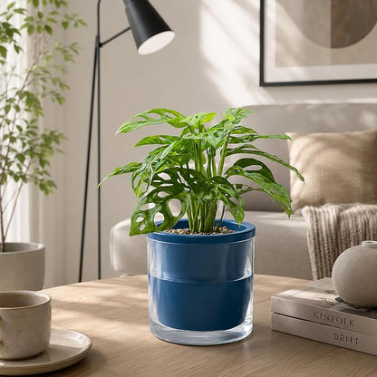 D'vine Dev 6 Inch Design Self Watering Planter for Indoor Plants, Blue Terracotta Pot with Cylinder Glass Cup, 37-X-B-4