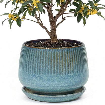 10.3 Inch Ceramic Planter with Saucer,Modern Garden Pots with Drainage Hole Mesh Net, for Indoor Outdoor Use(Crackle Blue)