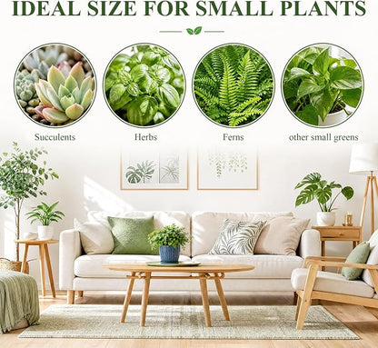 Ceramic Plant Pots, 4.5+5.5 Inch Small Plant Pots, Flower Pots Indoor Planters with Drainage and Tray, Modern Indoor Plant Pots for Home and Office, Indoor Planters with Drainage