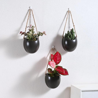 Set of 3 Ceramic Wall Planters Decor Small Hanging Vases Lovely Flower Pots | Wall Decor for Home, Entryway, Hallway, Deck, Bathroom, Living Room, Dining Room, Garden, Farmhouse, Restaurants, Office, etc