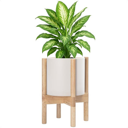 D'vine Dev Plastic Pot with Natural Wood Stand, Oatmeal, 8 in, 55-C-J-4 | Mid-Century Inspired Design, Elevated Plant Display, Clean Lines, Sturdy Support, Modern Space-Saving Style