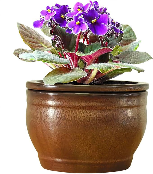 African Violet Pots Self Watering Round Ceramic Violet Pot (Copper, 6 inch)