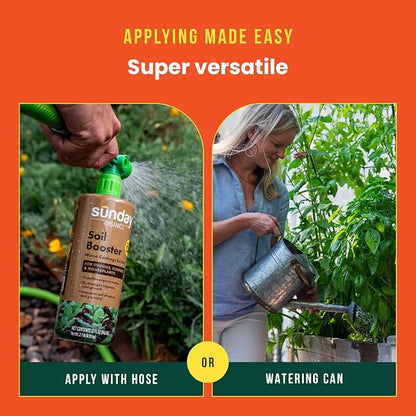 Sunday Soil Booster - Worm Casting Tea - Enhance Soil Health & Promote Vigorous Plant Growth - Made with Vermicompost Extract & Humic Acid - 32 Fl Oz, 2 Pack