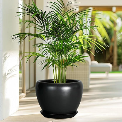 Ceramicfor Ceramic Planter Pot - 8 Inch Plant Pot with Drainage Hole and Saucer Round Planter for Indoor Plants Modern Outdoor Flower Pot for House Balcony Black