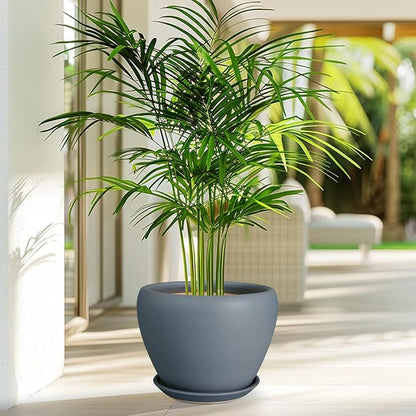 Ceramicfor Ceramic Pot for Plants - 8 Inch Plant Pot Indoor with Drainage Hole and Saucer Decorative Planter for Outdoor Plants Modern Flower Pot for Home Decor Garden Gray