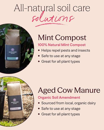 Heirloom Roses Mint Compost & Aged Cow Manure Bundle, 100% Natural Soil Amendments for Rose Planting, Enriched with Nitrogen & Micronutrients, Ideal for Garden Vegetables, Flowers & Soil, Bundle