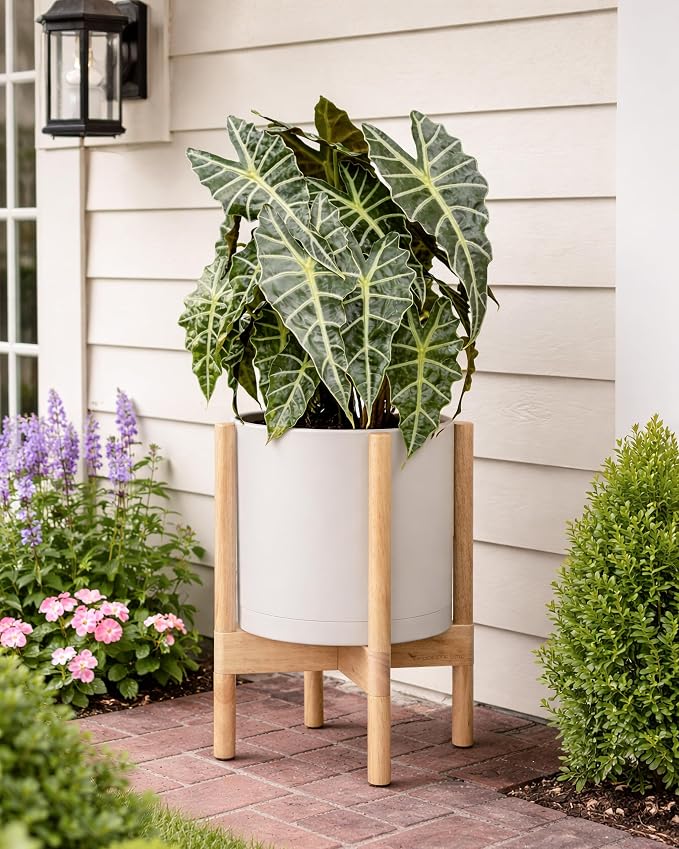 D'vine Dev Plastic Pot with Natural Wood Stand, Oatmeal, 10 in, 55-C-M-4 | Mid-Century Inspired Design, Elevated Plant Display, Clean Lines, Sturdy Support, Modern Space-Saving Style