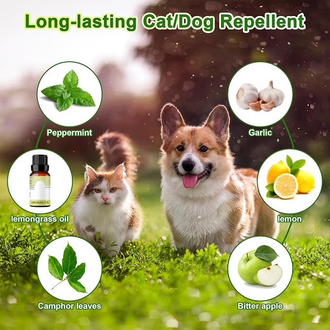 Cat and Dog Deterrent Outdoor, 24 Pcs Natural Cat Repellent Outdoor, Peppermint Oil Cat Deterrent Outdoor & Indoor, Keep Cats Out of Yard Permanently, Keep Cats Off Lawn Garden Furniture Flower