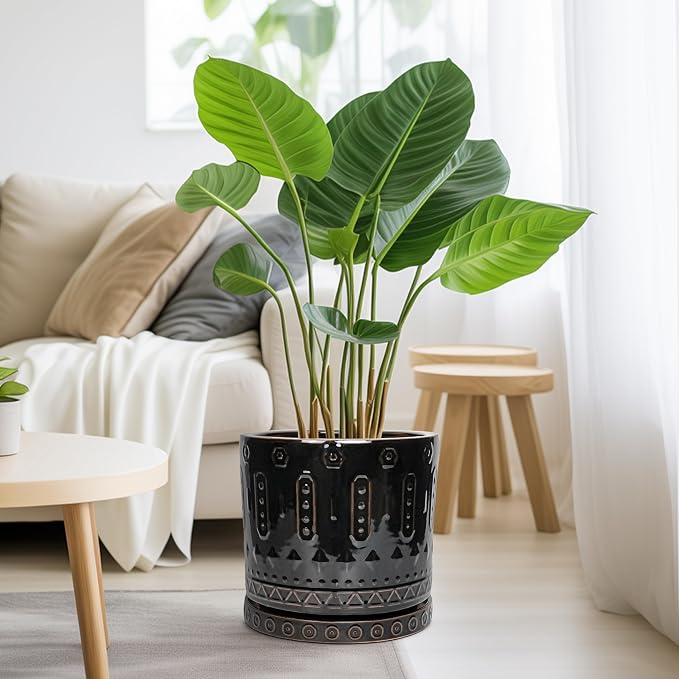 Eightpot Ceramic Planter for Indoor Plants - 10 Inch Plant Pots with Drainage Hole and Saucer, Round Decorative Flower Pots Outdoor, Boho Large Planter, Room Decor, House Warming Gifts, Black