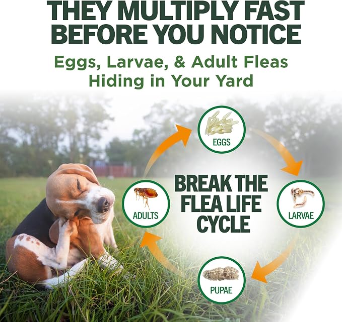 Vet's Best Flea and Tick Yard and Dog Kennel Spray, Mosquito Repellent with Certified Natural Oils, Plant Safe with Ready-to-Use Hose Attachment, Flea and Tick Prevention for Dogs, 32 oz