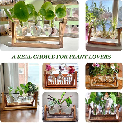 Renmxj Plant Propagation Station, Plant Terrarium with Wooden Stand | Unique Gardening Birthday Gifts for Women Plants Lovers, Home Office Garden Decor Planter - 3 Bulb Glass Vases