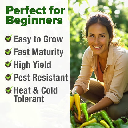 HOME GROWN Banana Pepper Seeds 94+ Heirloom Non GMO Seeds for Planting, High Germination, Sweet & Mild Peppers, Indoor Outdoor Garden, Perfect for Slicing & Pickling, High Yield (Capsicum annuum)