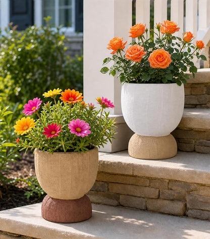 DREAMLOOM 6.4Inch Coarse-Grained Terracotta Pots for Succulents, 2Pcs Flower Planters with Drainage Holes, Bonsai, Cactus Aloe, Herbs, Orchid, Rustic Color