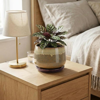 6 Inch Plant Pot - Ceramic Pots for Indoor Plants, Round Small Succulent Planter with Drainage and Saucer, Decorative Flower Pot, Office Room Decor, Gifts for Plant Lovers, Brown-Beige