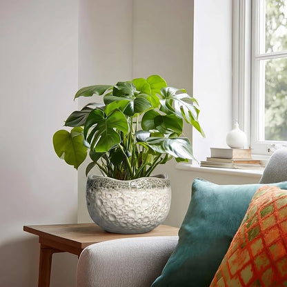 Ceramic Flower Pots - 8 Inch Plant Pots for Indoor Outdoor, Unique Round Planter with Drainage Hole and Plug, Decorative Ceramic Planter, Room Decor, House Warming Gifts, Beige-Grey
