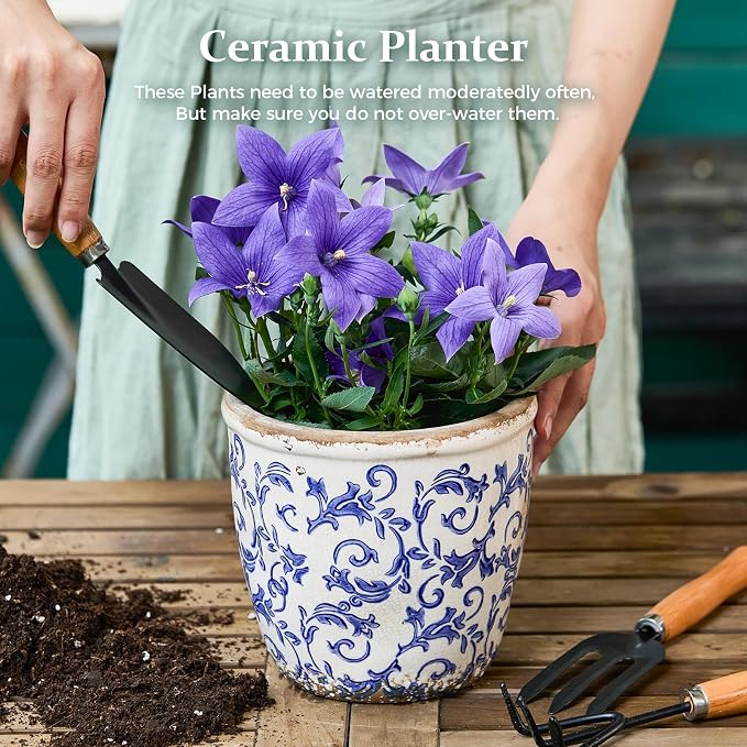 Vintage Ceramic Planter with Drainage Hole, Plastic Tray & Mesh, 6.5 Inch - Indoor/Outdoor Flower Pot, Blue Floral Rustic Farmhouse Design Plant pot for Home, Office & Garden Décor, Ideal Gift