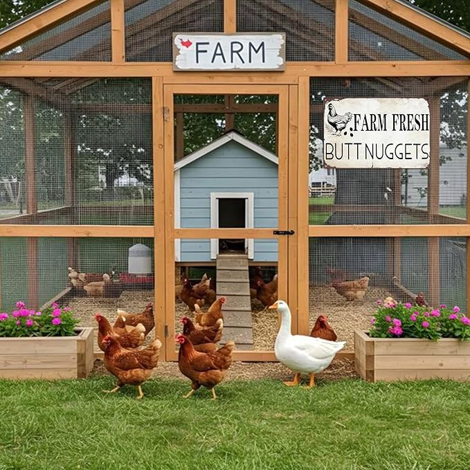 Vintage Metal Signs Chicken Coop Signs for Farm Yard Decor, Tin Sign for Home Farm Chicken Coop Farmhouse Kitchen Garden Decor 8 X 12 Inch
