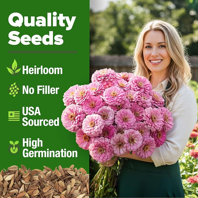 HOME GROWN Pink Zinnia Seeds – 300 Luminosa Zinnias 0.5g, Easy to Grow Annual Flower Seeds for Planting Outdoors for 2026, Fast Blooming, Heat Tolerant Herb Seed Garden Companion (Zinnia elegans)