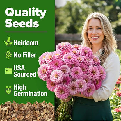 HOME GROWN Pink Zinnia Seeds – 300 Luminosa Zinnias 0.5g, Easy to Grow Annual Flower Seeds for Planting Outdoors for 2026, Fast Blooming, Heat Tolerant Herb Seed Garden Companion (Zinnia elegans)