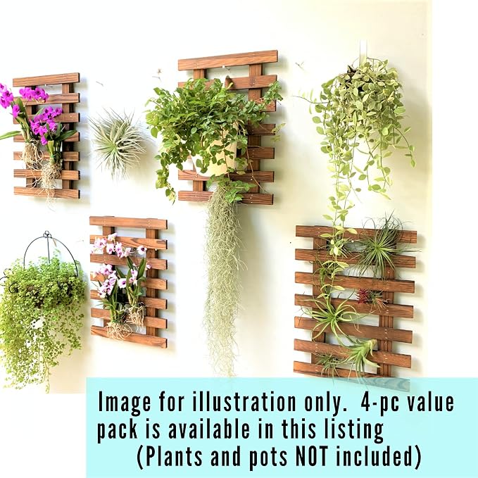 ShopLaLa Wooden Wall Planter for Succulents (40cm) Air Plant Wall Hanger | Indoor Outdoor, Live Orchid Wall Wood Display Frame Vertical Garden Balcony Deck Bathroom Macetas para Plantas De Aire