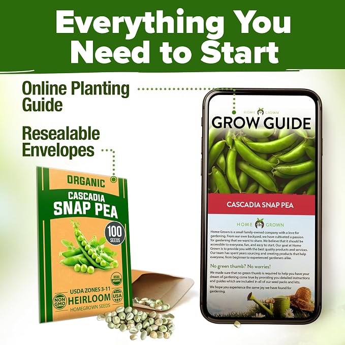 HOME GROWN Organic Cascadia Snap Pea Seeds 100+ Heirloom Non-GMO Seeds for Planting, High Germination, Sweet Edible Pods, Stringless Sugar Snap, Cool Season Garden, Containers (Pisum sativum)