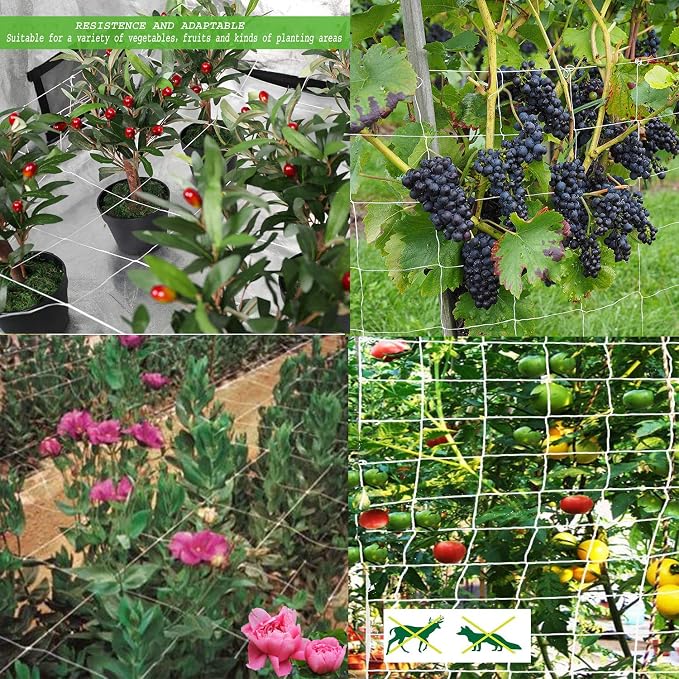BaseGoal All-Weather Trellis Netting Mesh Plant Garden Vine Growing Flexible String Net (6" Mesh ployester, 5' Wx 30'L)