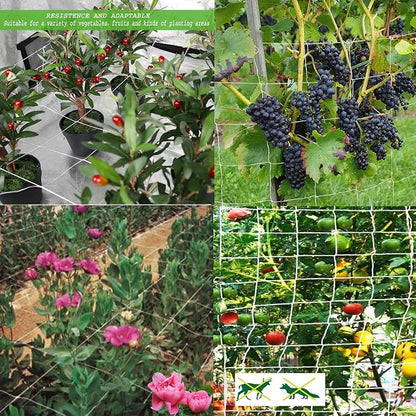 BaseGoal All-Weather Trellis Netting Mesh Plant Garden Vine Growing Flexible String Net (6" Mesh ployester, 5' Wx 30'L)