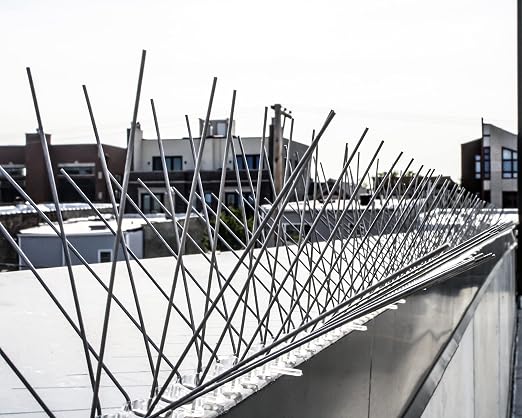 Bird-X Stainless Steel Bird Spikes, 8-inch Extra-Wide Spikes, Bird Spikes for Pigeons and Other Small Birds, Easy to Install, Contains 2 ft. Strips, Covers 24 Linear Feet Area, EWS-24
