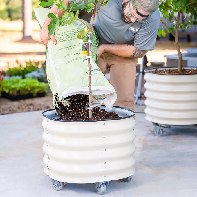 Rolling Metal Citrus Tree Planter Pot, 21″ Round Planter Box for Porch Patio & Backyard, 20 Gallon Large Planter Pot with Wheels for Growing Olive Trees Tomatoes Vegetables Flowers, 2 Pack Pearl White