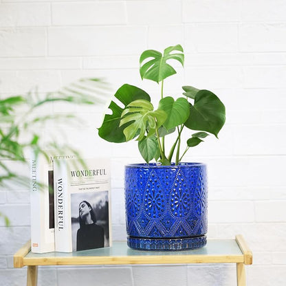 8 Inch + 6 Inch Indoor Plant Pot with Drainage Holes and Saucers, Ceramic Planter for Plants Succulent Orchid Flower Pots