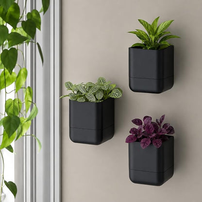 Phoenix Vine 4.5 Inch Wall Mounted Self-Watering Planter Pot for Indoor Houseplants and Herbs | Hanging Planter for Window Sills, Bathroom Walls, Home & Office Décor, Black, Set of 4, 01-B-E-4