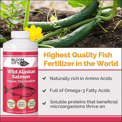 Organic Wild Fish Fertilizer and Plant Supplement, Great for Roots and Soil, Made from Sustainable Salmon, by Bloom City, Gallon (128 oz)