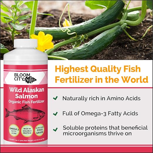 Organic Wild Fish Fertilizer and Plant Supplement, Great for Roots and Soil, Made from Sustainable Salmon, by Bloom City, 1/2 Pint (8 oz)