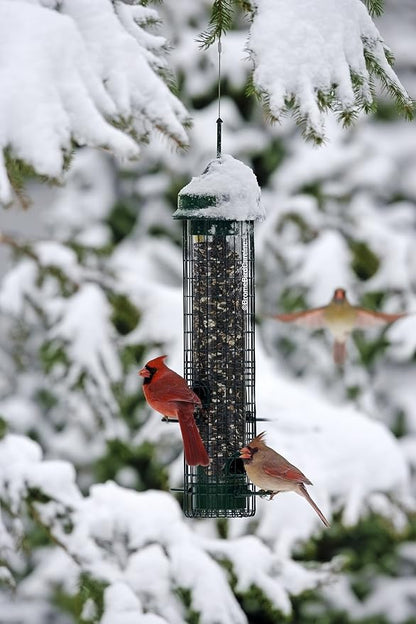 Squirrel Buster Classic Squirrel-proof Bird Feeder w/4 Feeding Ports, 2.4-pound Seed Capacity | Weight-Activated Shroud Blocks Squirrels, 4 Feeding Ports, 2.4 Lb Seed Capacity, 32 Height, Tool-Free Disassembly