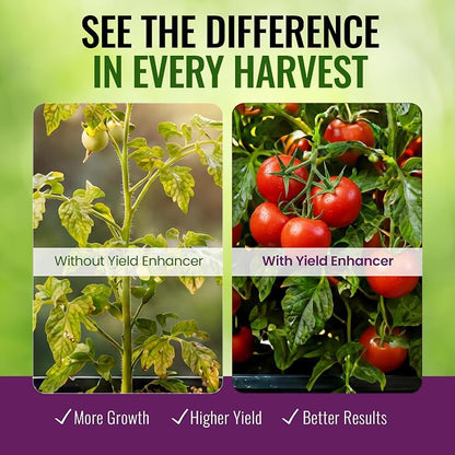 Microbe Life Hydroponics Fruit and Vegetable Plant Growth Yield Enhancer Supplement, Plant Nutrients for Better Growth and Yield, Use with Any Feeding Systems Including Hydroponics or Soil, 16 Ounces