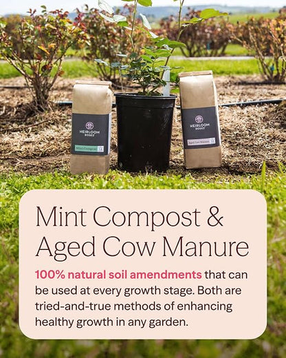 Heirloom Roses Mint Compost & Aged Cow Manure Bundle, 100% Natural Soil Amendments for Rose Planting, Enriched with Nitrogen & Micronutrients, Ideal for Garden Vegetables, Flowers & Soil, Bundle