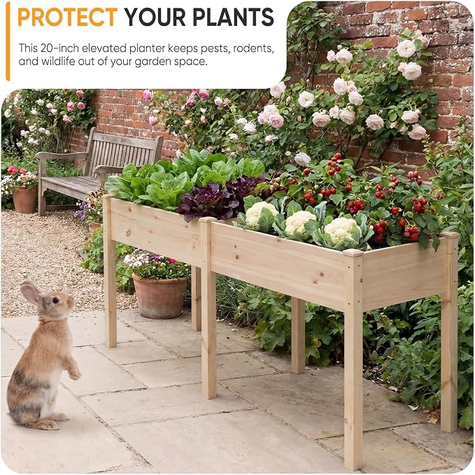NEWBULIG Raised Garden Bed Wood 72x23x30in, Elevated Wooden Planter Box Stand with Legs for Outdoors Balcony Backyard, Raised Garden Bed for Planting Herbs Flowers Vegetables, Natural Wood