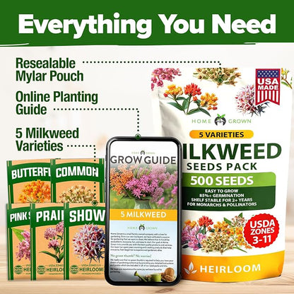 HOME GROWN Milkweed Flower Seeds - 500+ Heirloom Perennial Wildflower Seeds (5 Individual Varieties) Supports Monarch Habitat, Grows in Zones 3-11 (Asclepias syriaca)